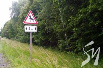 �� ���������� ����������� ��������� ���������� ����� ���� �������